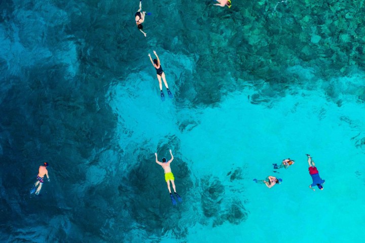 a group of people snorkeling