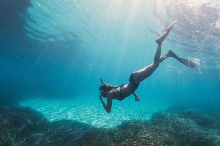 Excursión Snorkel en Jávea